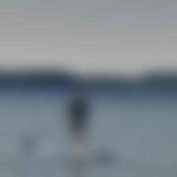 Nordheteromann