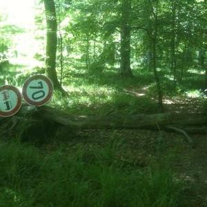 Hözer See  bei Magstadt -Büsnau