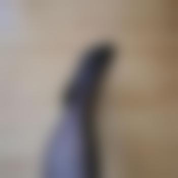 Bi_like