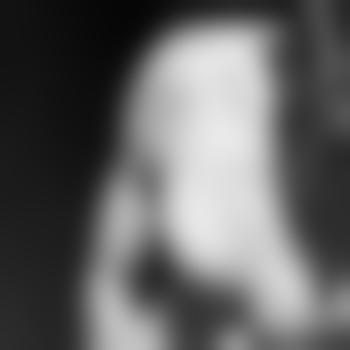 Löwe_27