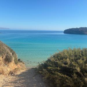 🍁🌿Chill Out 🌿🍁