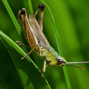 Rubensfrauen üppig ist mir zu wenig