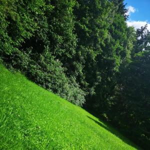 Altes Uniklinikum Gelände am Hangeweiher