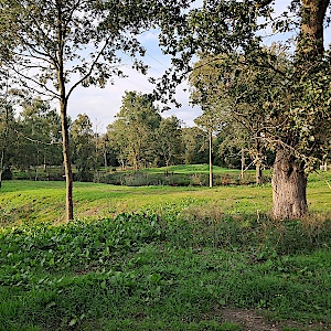 Hinter Wohnwagen Bruns