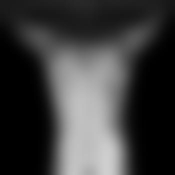XL_Hengst_MUC