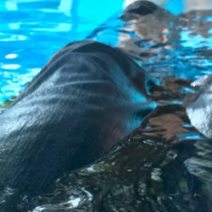 Wetlook - Nass Kleidung