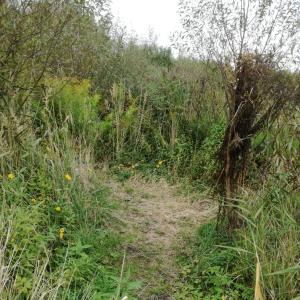 Baggersee Appen Etz