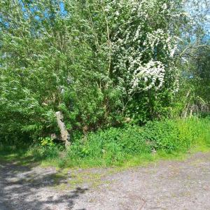 Moormerland-Neermoor