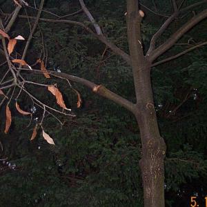 Erotik im Tal der Wupper