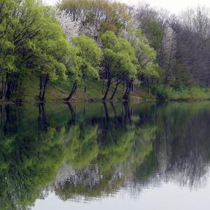 Am Fichtensee
