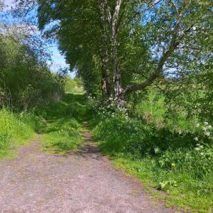 Moormerland-Neermoor