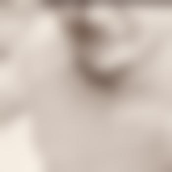 sebi122