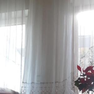 Paulchen27