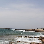 Keuschundwild