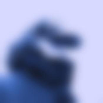 schiggy80