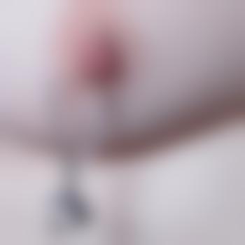 Bi_Paar_Nds1