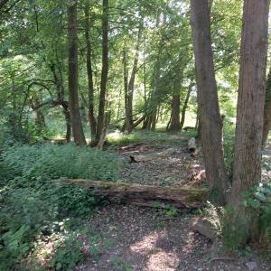 An der Rur in der Nähe Clubheim Lendersdorf