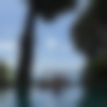 RoyStg