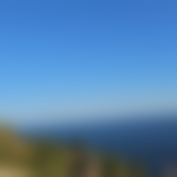 19NRW81