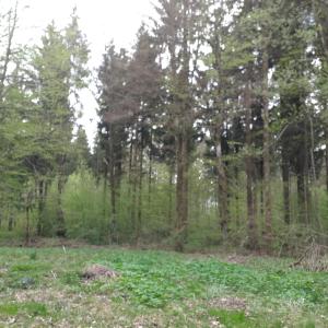 Platz der Lust