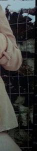 MissDirty100