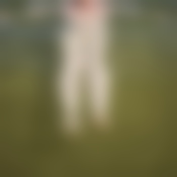 netteSwinger