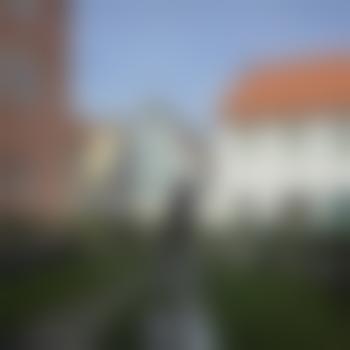 Holzwurm-8839