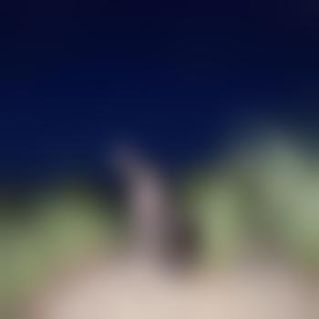 Jan2411