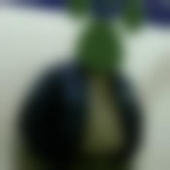 BlasSauPB