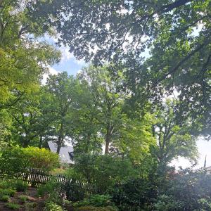 Spaß Im Heidekreis und Hamburg