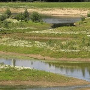 Wesel Lippeauen