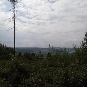 Haus Harderode / Ith