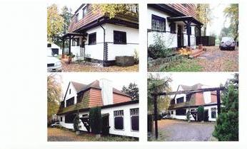 Absinth im Tannenhof