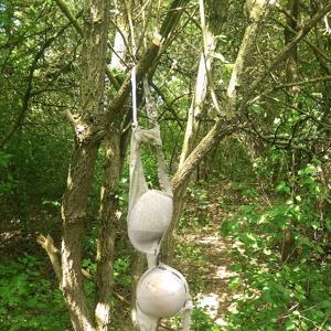 Parkplatz Fliegwiese