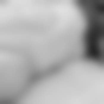 biblis690655