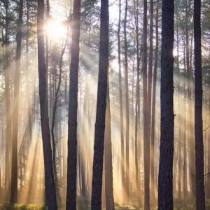 Ahnsbecker Weg (Altencelle)