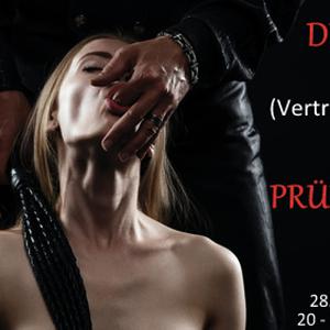 Die (Vertrauens) Prüfung (BDSM)