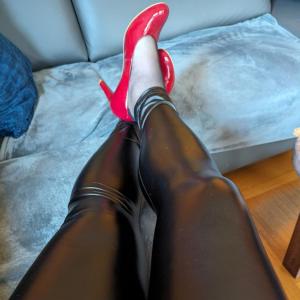 TV, TS, Dwt im Landkreis Uelzen 