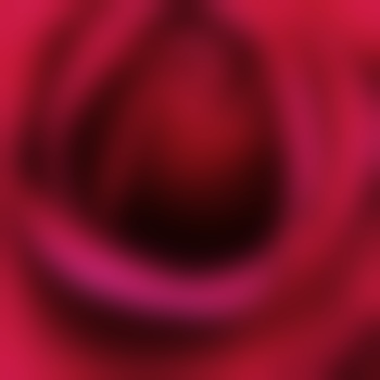 softvision