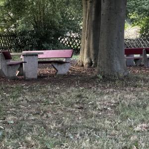 Rastplatz Geismar richtung Wellen