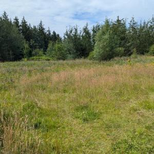 Husum Outdoor Treffen - Bisex