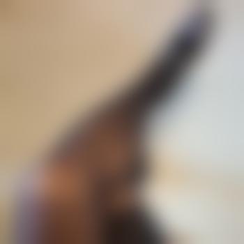 Tanja_DWT