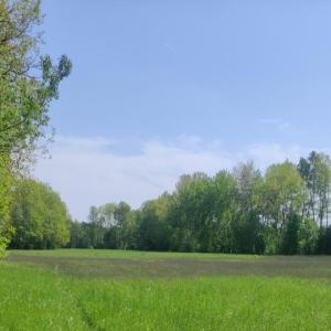 Tonteiche Bestensee