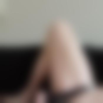 cartiger
