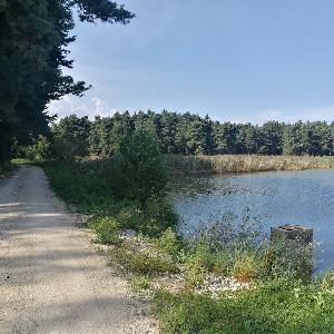 Anhauser Weiher bei Bühl