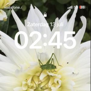 Netherlands sexcontact