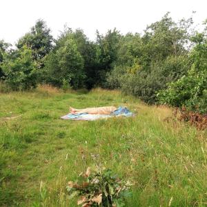 Blautorfsee  am Blautorfweg in Großheide