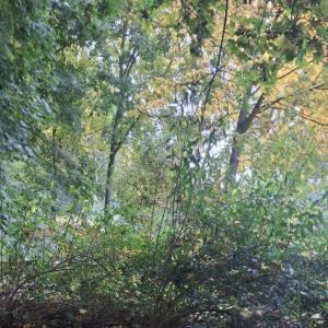 Chemnitz hartmannplatz