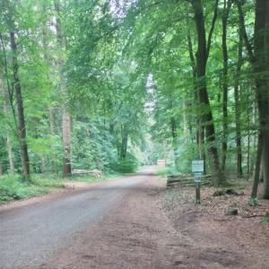 Waldparkplatz nähe Syke