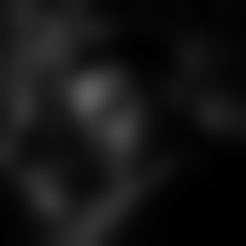 GhostRider_BullX